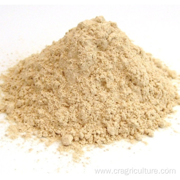 Organic Garlic Powder Bulk For Sale